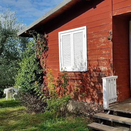 Olive Tree Hill Bed & Breakfast 4*