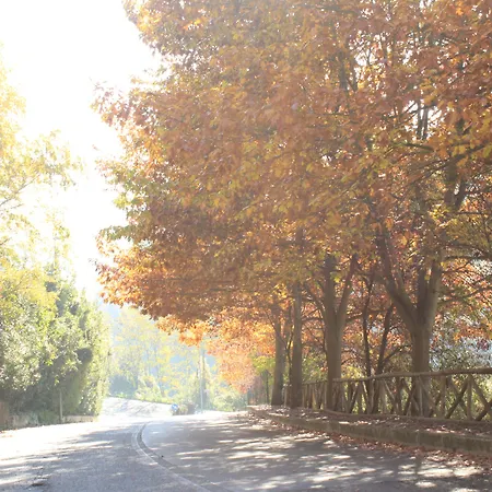 Bed & Breakfast Olive Tree Hill