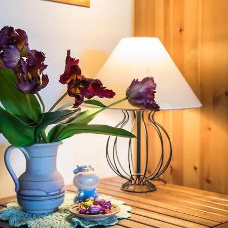 Olive Tree Hill Bed & Breakfast