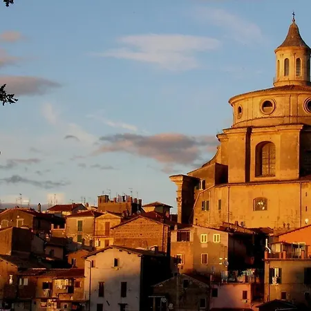 Bed & Breakfast Olive Tree Hill 4*