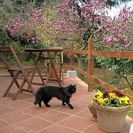 Olive Tree Hill Bed & Breakfast