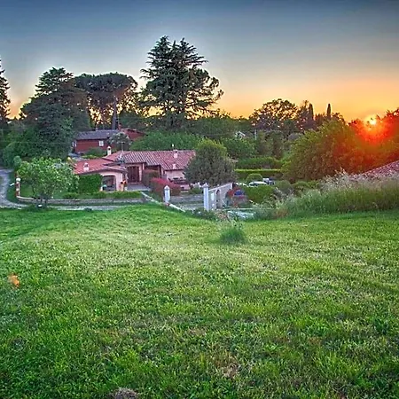 Olive Tree Hill Zagarolo