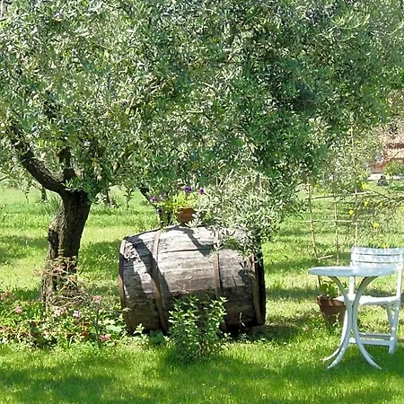 Bed & Breakfast Olive Tree Hill