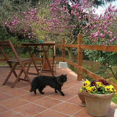 Olive Tree Hill Bed & Breakfast