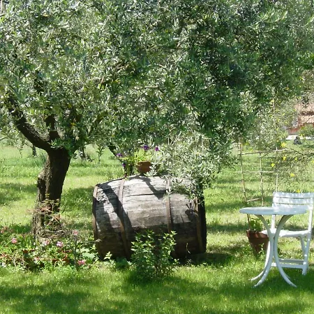 Olive Tree Hill Zagarolo