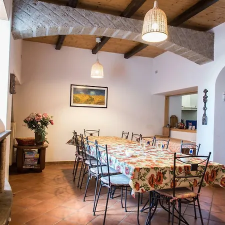 Bed & Breakfast Olive Tree Hill Zagarolo