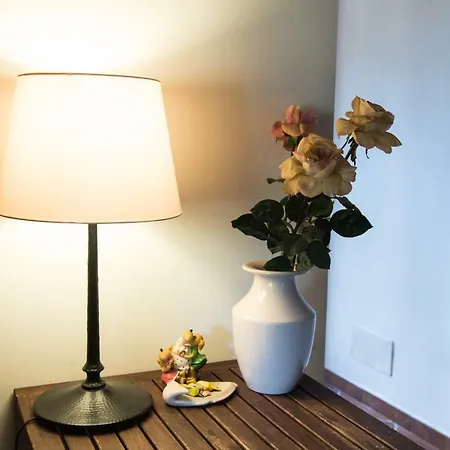 Olive Tree Hill Zagarolo