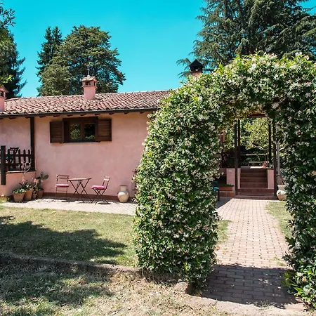 Bed & Breakfast Olive Tree Hill Zagarolo