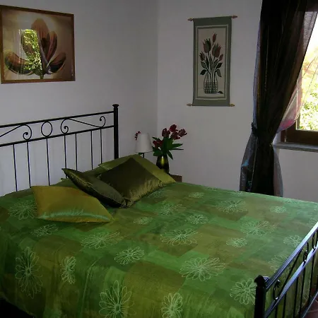 Bed & Breakfast Olive Tree Hill Zagarolo