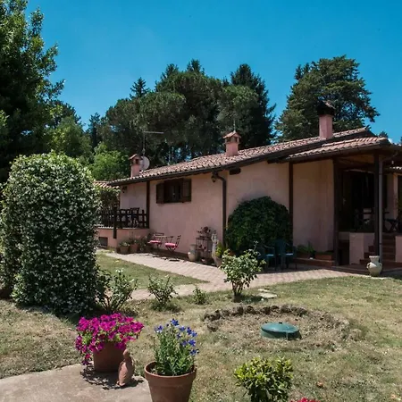Olive Tree Hill 4*