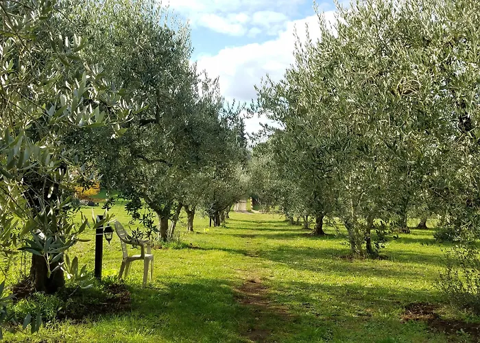 Bed and Breakfast Olive Tree Hill