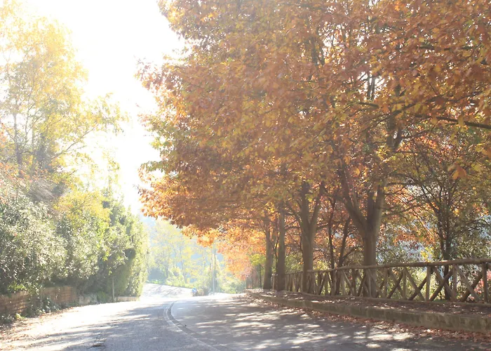 Bed and Breakfast Olive Tree Hill