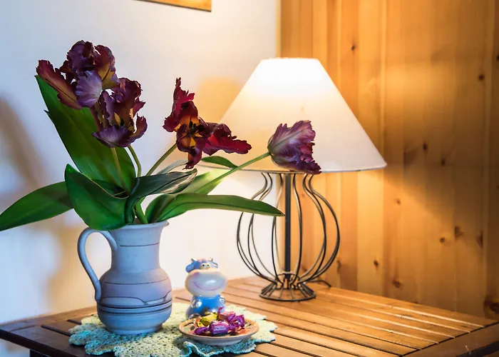 Olive Tree Hill Bed and Breakfast