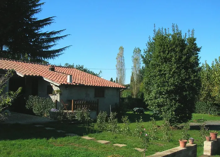 Olive Tree Hill Bed and Breakfast Zagarolo