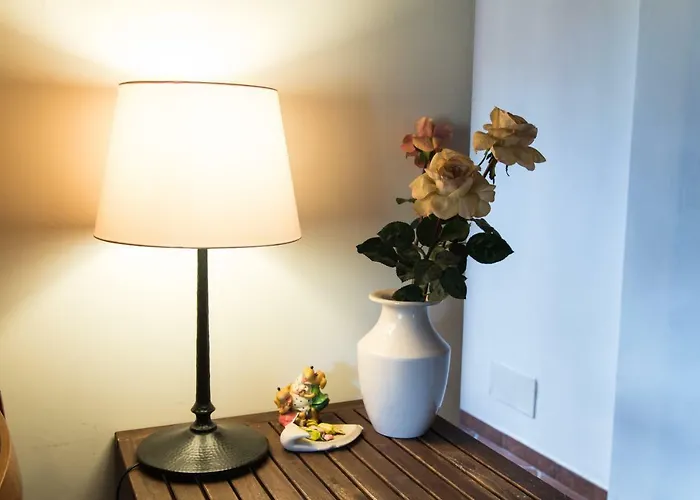 Olive Tree Hill Zagarolo