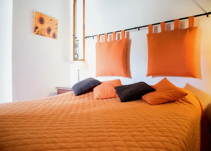 Olive Tree Hill Bed and Breakfast