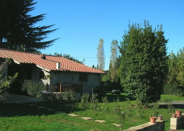 Olive Tree Hill Frühstückspension