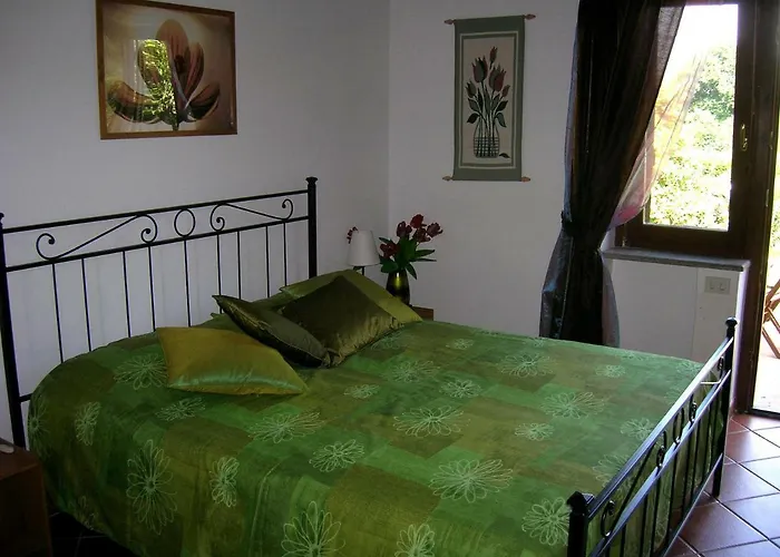 Bed and Breakfast Olive Tree Hill Zagarolo